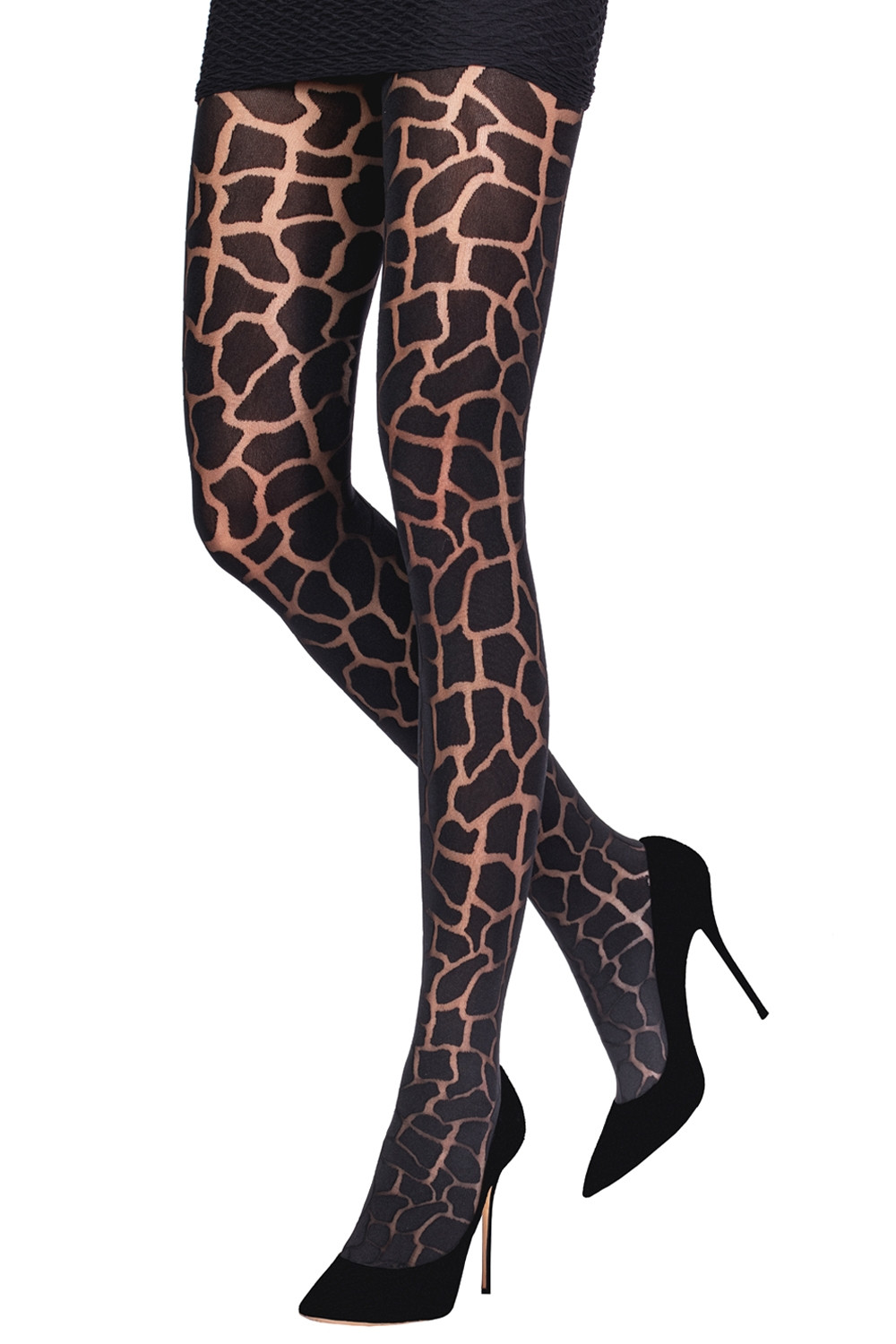Tights Leopard Women Styles Emilio Timeless | | Cavallini |